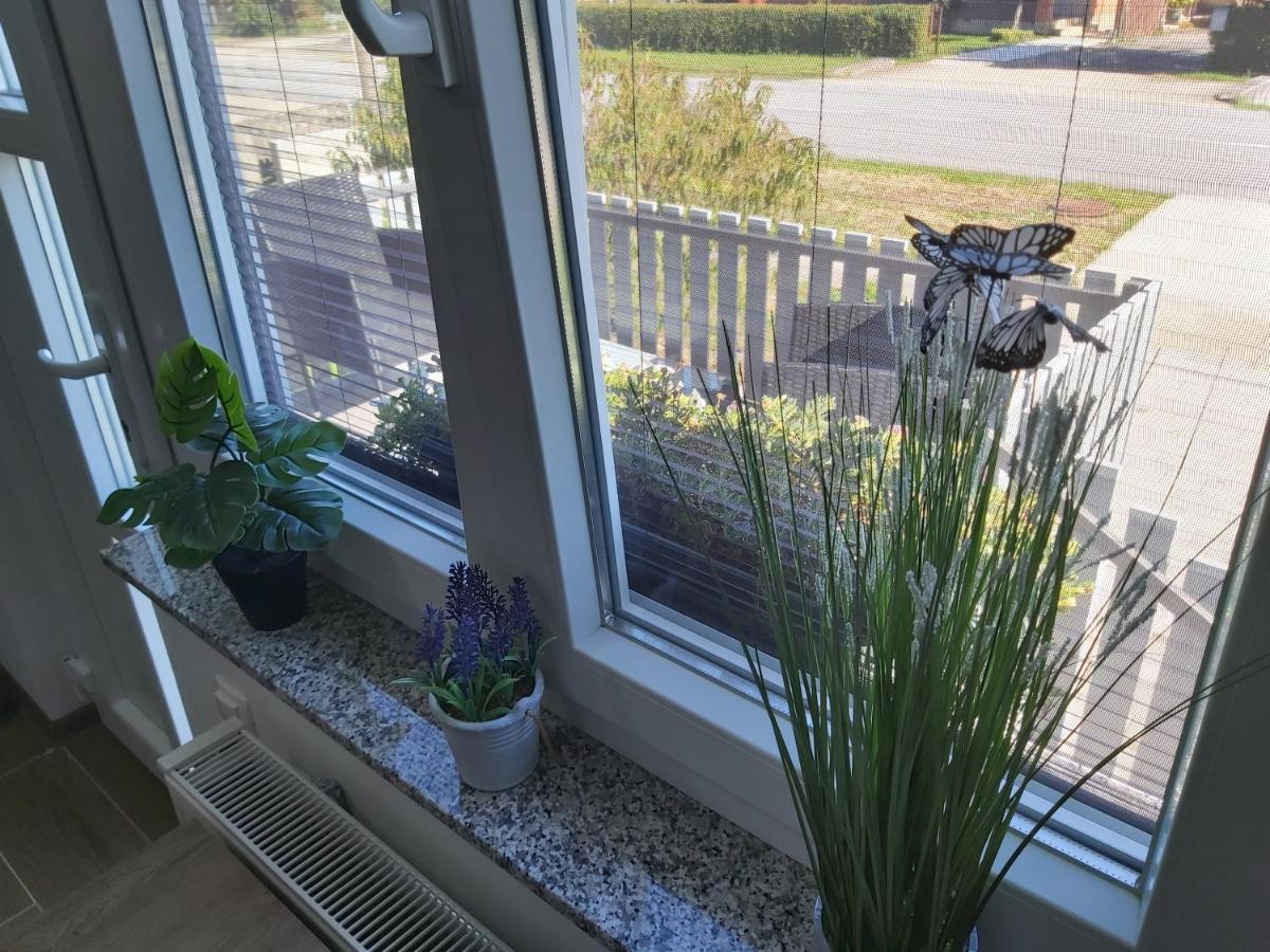 Apartment Draga Velika Ludina
